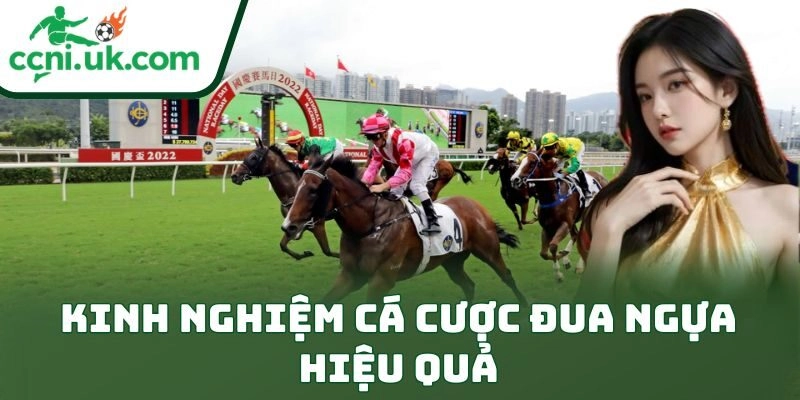 Kinh nghiệm cá cược đua ngựa hiệu quả