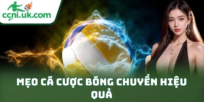 Mẹo Cá Cược Bóng Chuyền Hiệu Quả